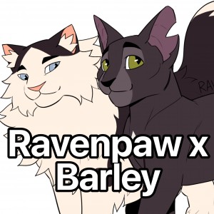 Ravenpaw x Barley