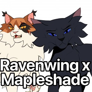 Ravenwing x Mapleshade