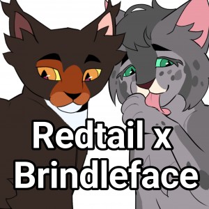 Redtail x Brindleface