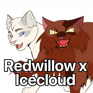 Redwillow x Icecloud
