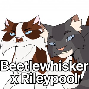 Rileypool x Beetlewhisker