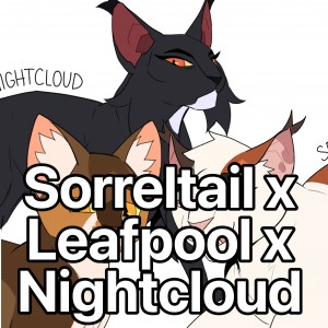 Sorreltail x Leafpool x Nightcloud