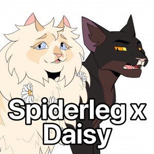 Spiderleg x Daisy