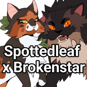 Spottedleaf x Brokenstar