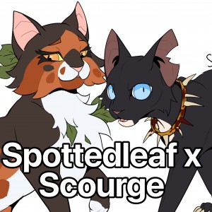 Spottedleaf x Scourge