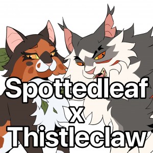 Spottedleaf x Thistleclaw