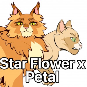 Star Flower x Petal