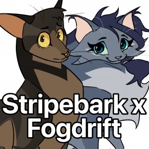 Stripebark x Fogdrift
