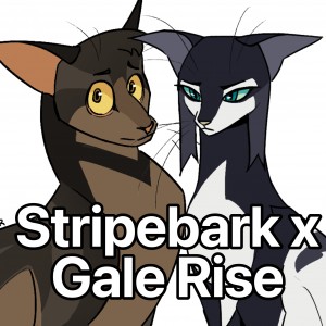 Stripebark x Gale Rise