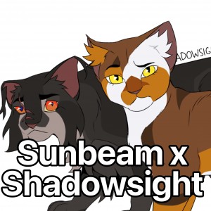 Sunbeam x Shadowsight