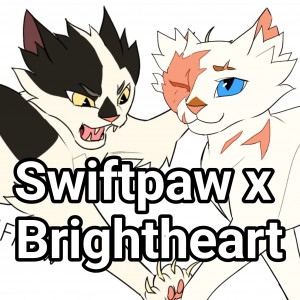 Swiftpaw x Brightheart