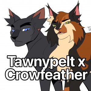 Tawnypelt x Crowfeather