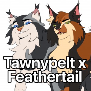 Tawnypelt x Feathertail