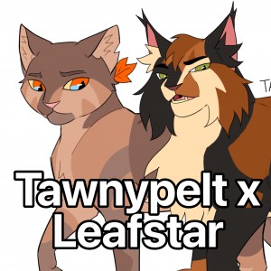 Tawnypelt x Leafstar