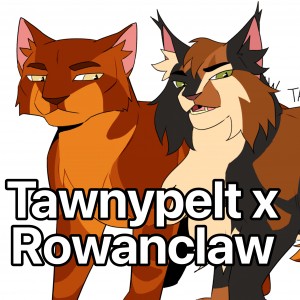 Tawnypelt x Rowanclaw