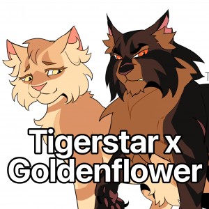 Tigerstar x Goldenflower