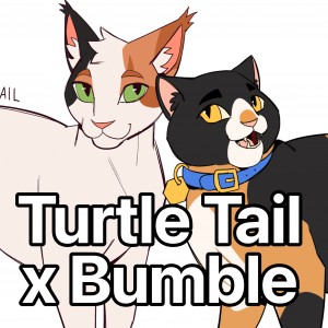 Turtle Tail x Bumble