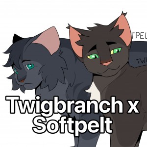 Twigbranch x Softpelt