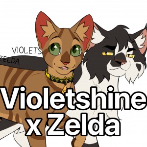 Violetshine x Zelda