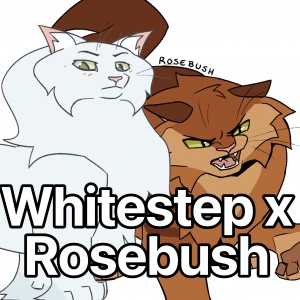 Whitestep x Rosebush