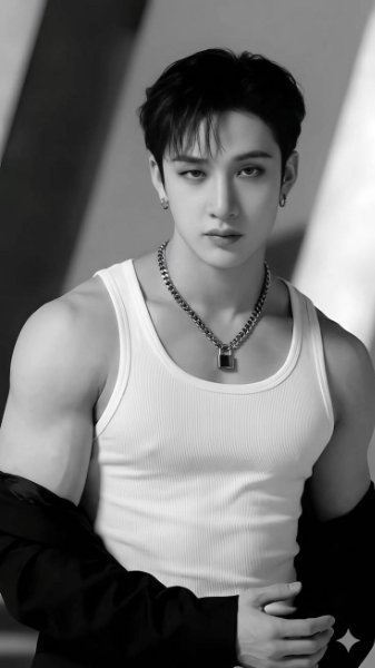 Bang Chan stray kids