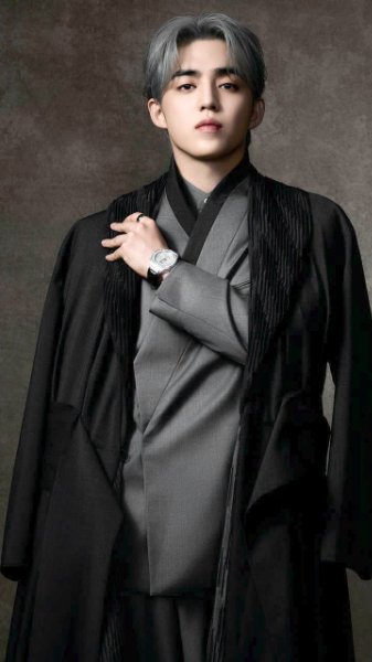 S.Coups seventeen