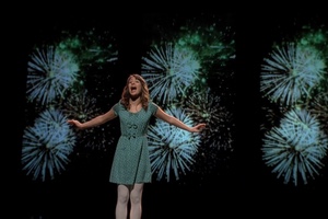 firework (2x12)