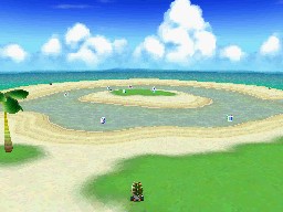 Palm Shore | DS