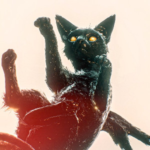 Tarcat