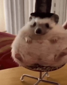 The businessman