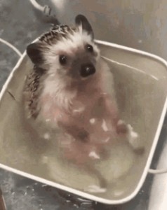 The splashing