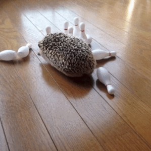 The strike