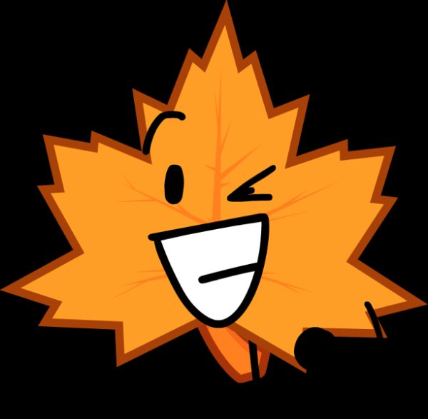 Maple Leaf