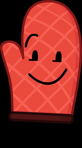 Oven Glove