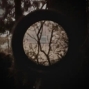 hunt