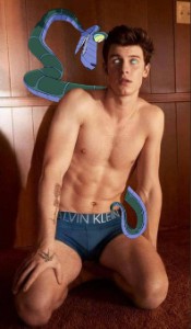 Shawn Mendes