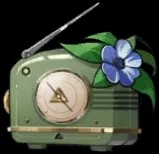 Ms. Radio
