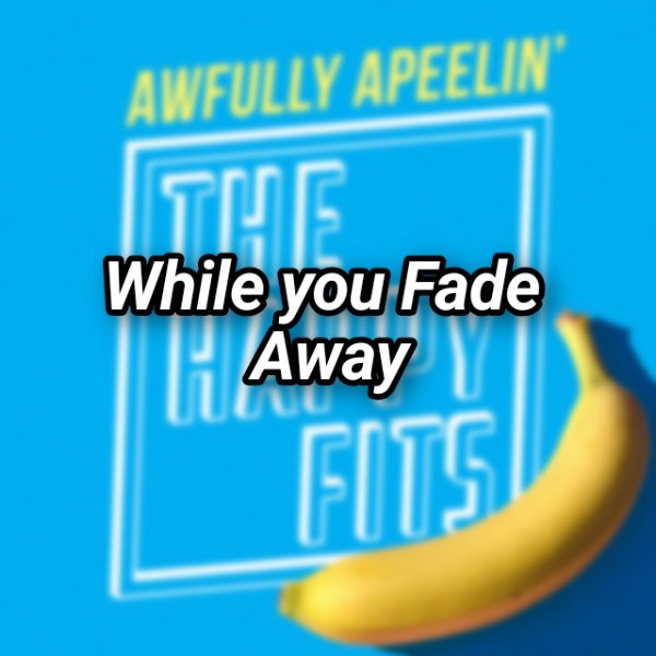 While You Fade Away