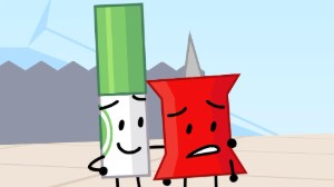 Pinmarker
