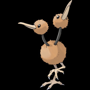 Doduo