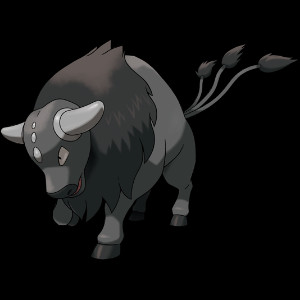 Paldean Tauros (Combat)