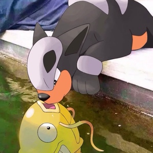 Houndour