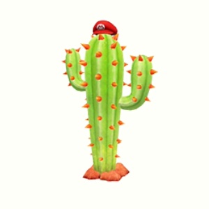 Cactus