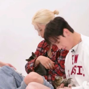 parenting kittens