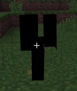 Regect