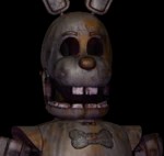 Proto Spring Bonnie