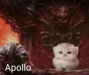 Apollo