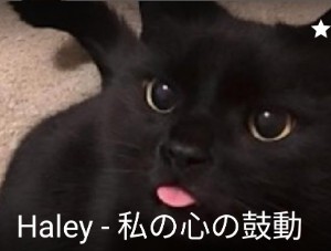 Haley