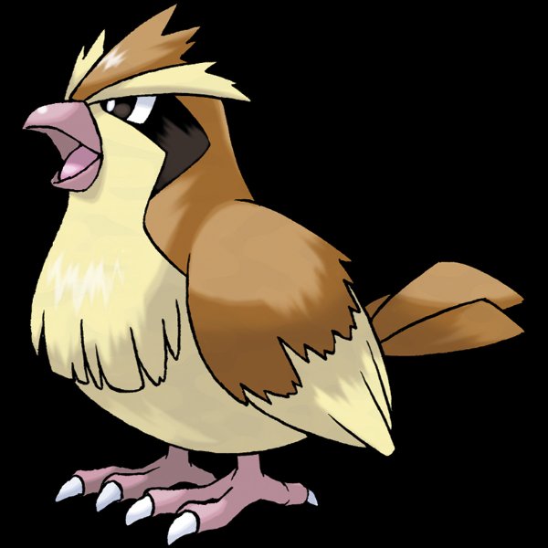 0016 Pidgey