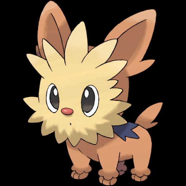 0506 Lillipup